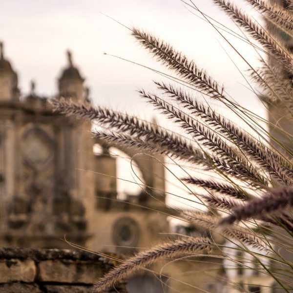 5 memorable locations for sightseers visiting Jerez