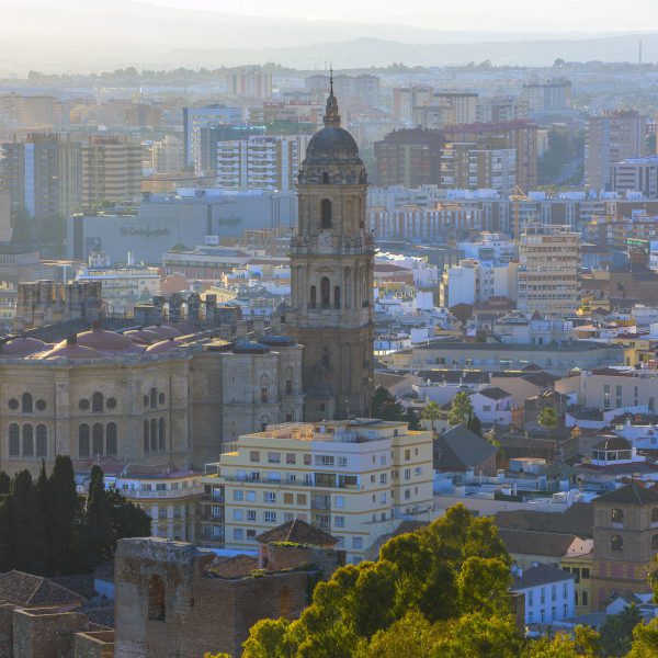 aerial view of Malaga cathedral
